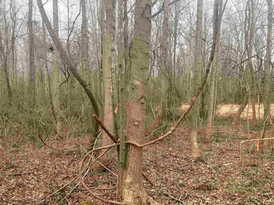 163 Rockingham Rd, Duncan, SC 29334 - photo 7