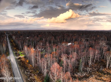 11360 E Fox Trail, Trapper Creek, AK 99683 - photo 7