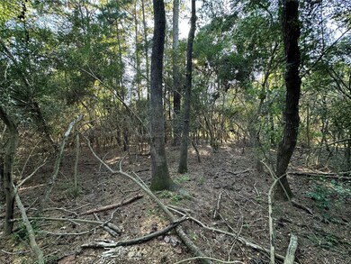 0 Mcdaniel, Magnolia, TX 77354 - photo 2