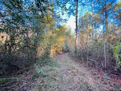 TBD Dinan Salem Rd, Tylertown, MS 39667 - photo 4