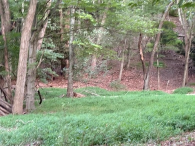 0 Dark Hollow Rd, Port Jeff Sta, NY 11777 - photo 4