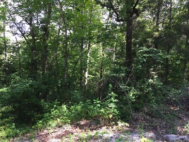 Lt 39-42 Chestnut St, Burnside, KY 42519 - photo 3