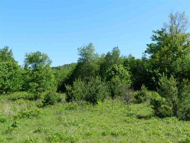 Lot 4F Route 25A, Orford, NH 03777 - photo 7