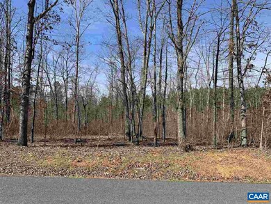 1726 Nahor Manor Rd, Palmyra, VA 22963 - photo 4