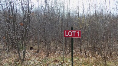Lot 1 Minerva Dam Rd, Swiss, WI 54830 - photo 2