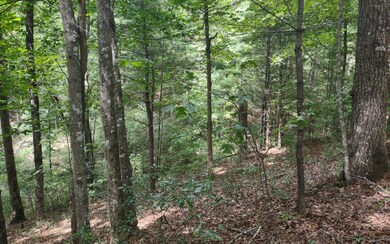 Additional View