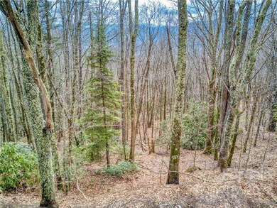 Looking down on property from road.