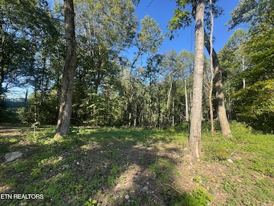 EA4D0E55-F4C5-4655-9FE1-613AA3189315