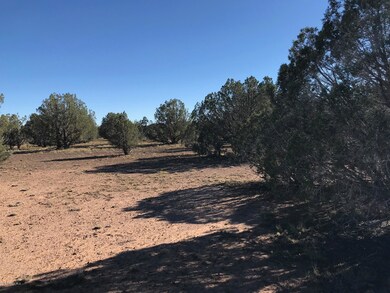 206 Brava Ln, Ash Fork, AZ 86320 - photo 4