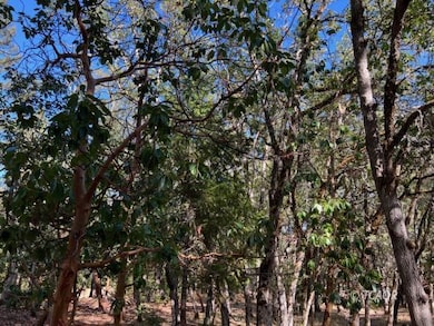 51 Oliva Dr, Hayfork, CA 96041 - photo 7