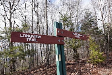 79 Longview Trail, Bostic, NC 28018 - photo 4