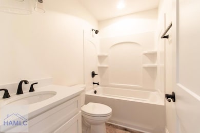 Elegant Matte Black Fixtures