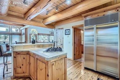 7076 Boreas Rd, Larkspur, CO 80118 - photo 7