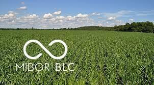 2400 E US Highway 36, Markleville, IN 46056 - photo 4