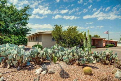 2 - Multiple front cacti