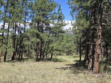 755 Black Fawn Ln, Westcliffe, CO 81252 - photo 6