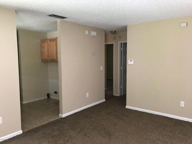 1130 Comanche St unit 602, Jacksonville, FL 32205 - photo 4