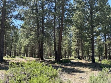 0 Sprague River unit 3007651, Chiloquin, OR 97624 - photo 6
