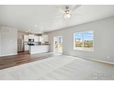 7406 Crystal Ave, Frederick, CO 80530 - photo 7