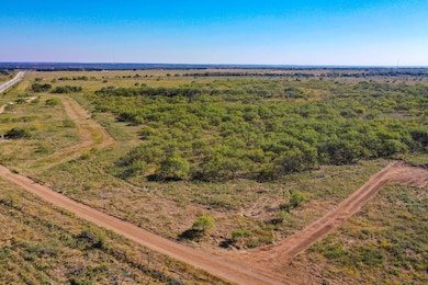 28.37 Acres Texas 199, Jacksboro, TX 76458 - photo 7