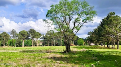 0 Bozeman Rd unit 4115697, Madison, MS 39110 - photo 2