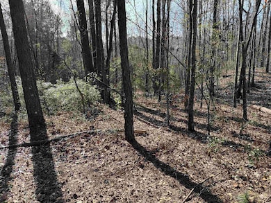 tbd Copeland Moody Rd, Marion, SC 29571 - photo 5