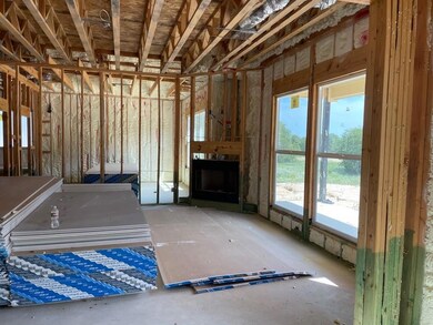 329 Zion Forest Trail, Poolville, TX 76487 - photo 4