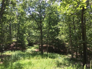 7-13-17 055 (Small)
