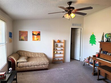 119 Alice Springs Ln, Weatherford, TX 76085 - photo 6