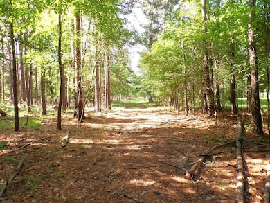 191 Fm 587, Kennard, TX 75847 - photo 5