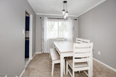 6860 Fitch Rd, Olmsted Falls, OH 44138 - photo 6