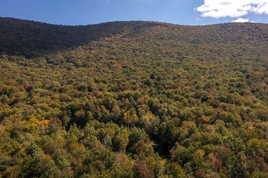 0 Tower Rd unit 28, Dorset, VT 05251 - photo 3