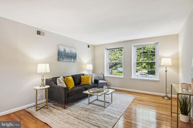 3006 S Columbus St unit B2, Arlington, VA 22206 - photo 5