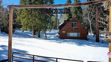 Cabin Entrance