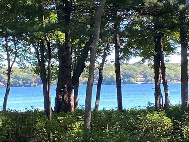Lake View Back Yard