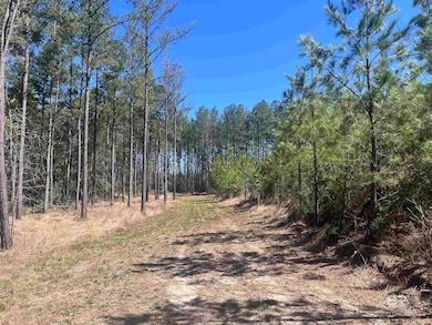 01 Robinsonville Rd, Atmore, AL 36502 - photo 2