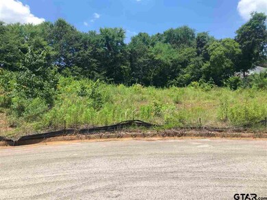 1243 Rainmaker, Tyler, TX 75703 - photo 3