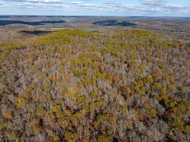 0 River Rd unit 21958353, Hardy, AR 72542 - photo 3