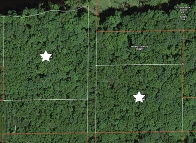 0 50th unit 20019251, Bitely, MI 49309 - photo 2