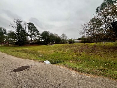 1410 Center St, Grand Saline, TX 75140 - photo 5