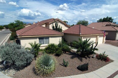 Yucca05