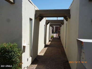 P1120438