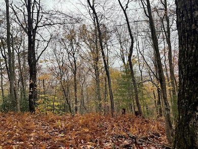 0 Poplar Ridge Ln, Franklin, NC 28734 - photo 5