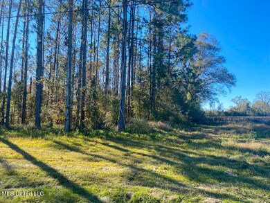 5.25 Ac Sally Parker Rd, Lucedale, MS 39452 - photo 5