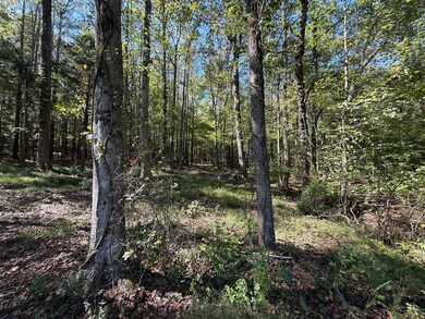 233 Zara Spook Dr, Cedar Grove, TN 38321 - photo 7