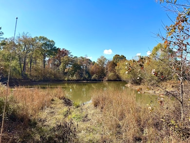 4134 Barton Ferry Rd, Columbus, MS 39705 - photo 6