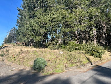 155 Seafoam Rd, Whitethorn, CA 95589 - photo 3