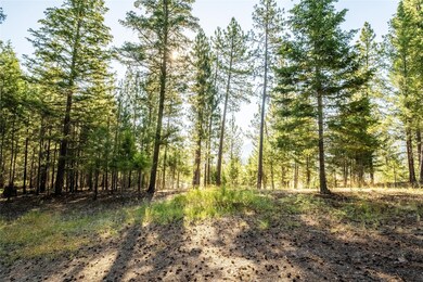 14297 Caddisfly Ct, Clinton, MT 59825 - photo 4