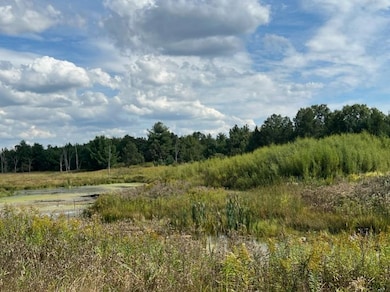 33 Acres 10th Ave, Adams, WI 53910 - photo 6