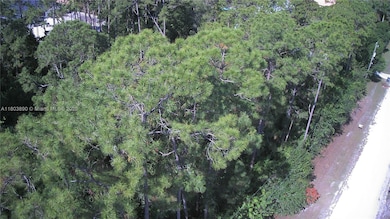 17354 75th Place N, Unincorporated Palm Beach County, FL 33470 - photo 6